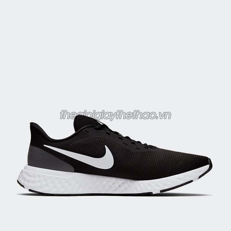 Giày thể thao Nike Revolution 5 BQ3204 1