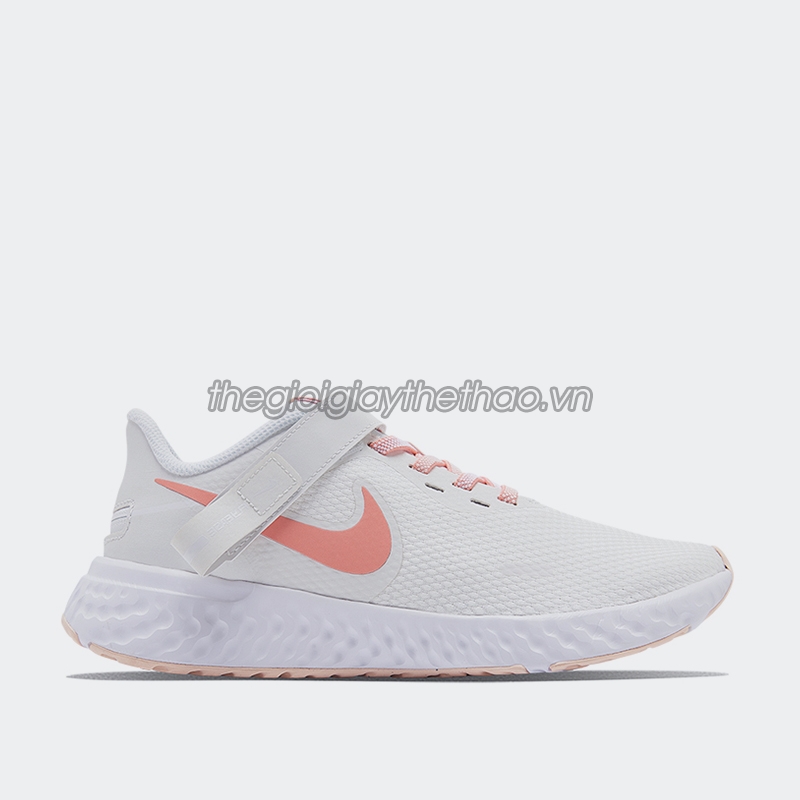 giay-the-thao-nu-nike-revolution-5-flyease-bq3212-109-h1