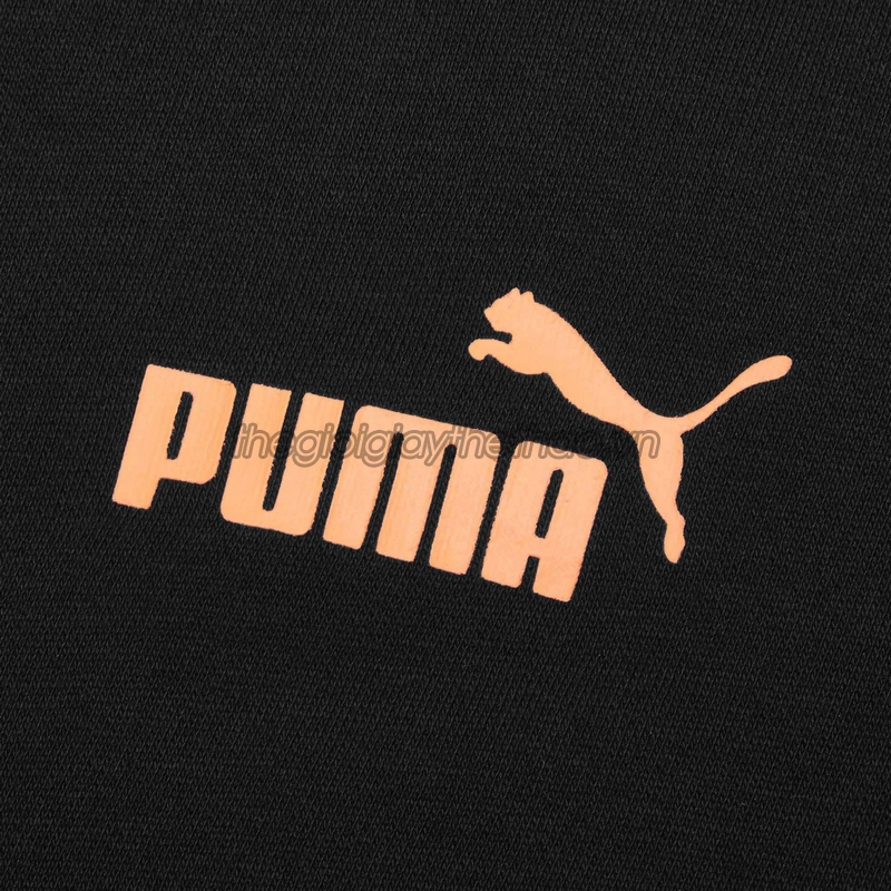 ao-hoodie-puma-hummer-ftblnxt-656852-01-h2