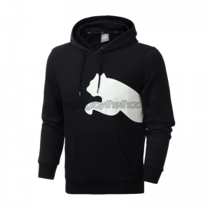 Áo hoodie Puma Big Logo 2019 580566-01